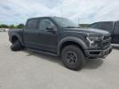 Ford F-150 Raptor Image 3