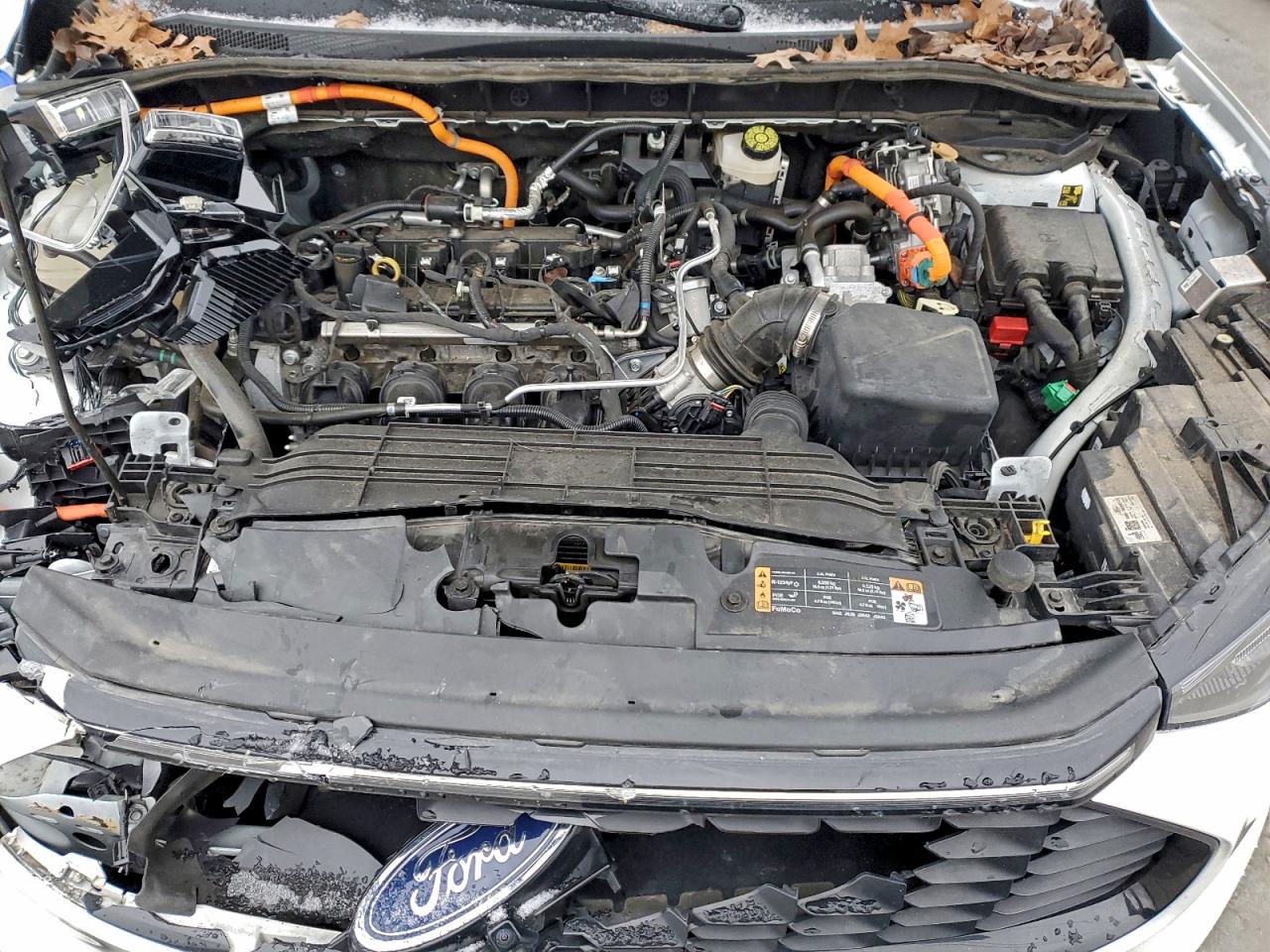 Ford Escape Platinum Image 7