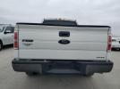 Ford F-150 Image 6