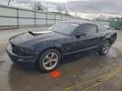Ford Mustang Gt Image 1