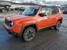 Jeep Renegade Trailhawk Image 1