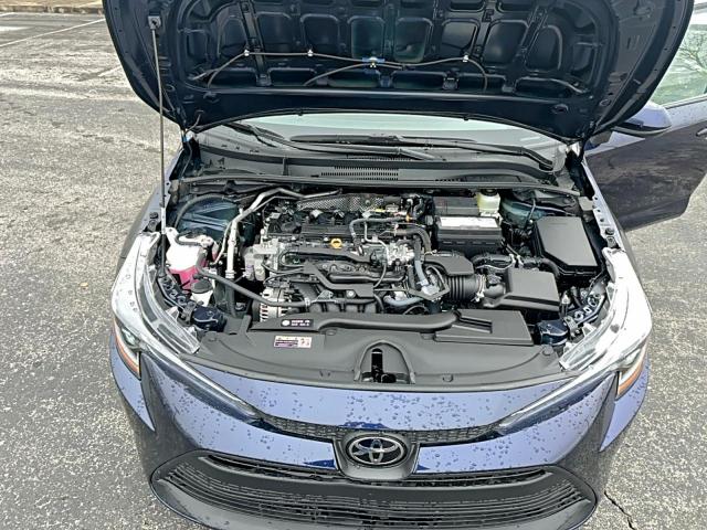 Toyota Corolla Le Image 5