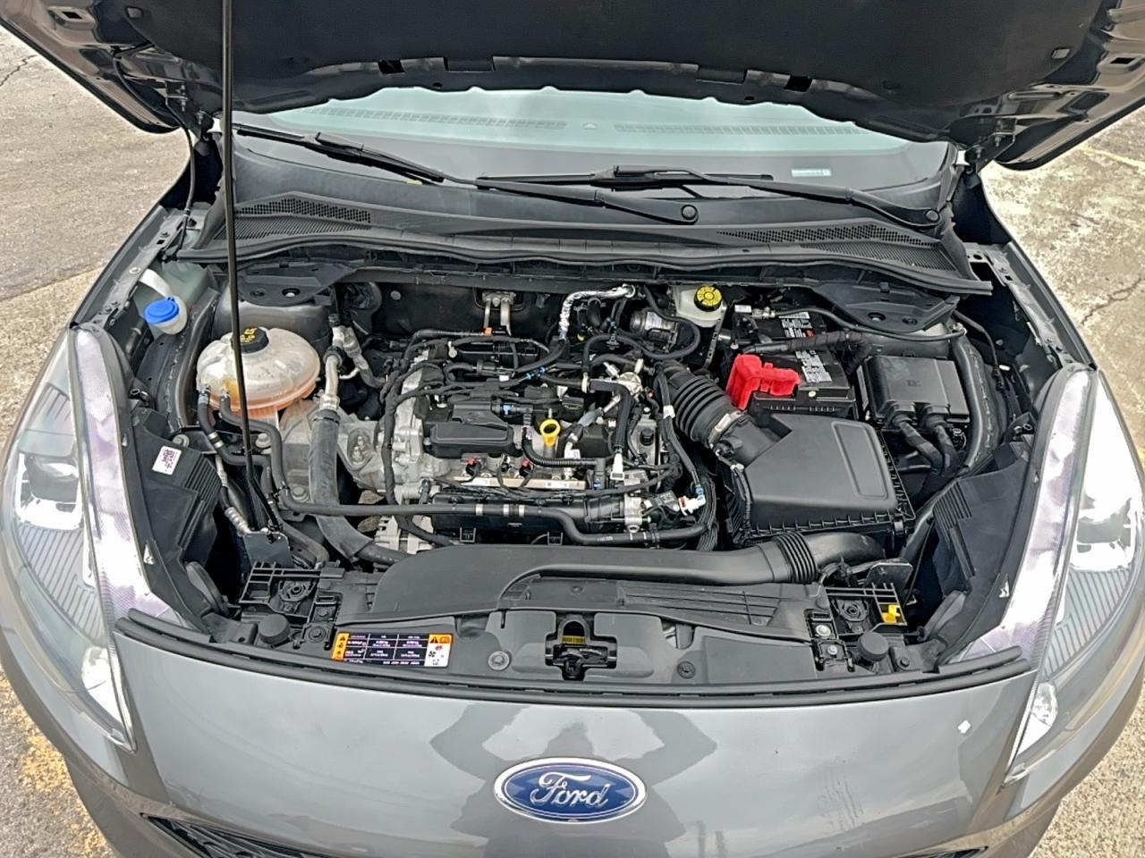 Ford Escape Se Image 7