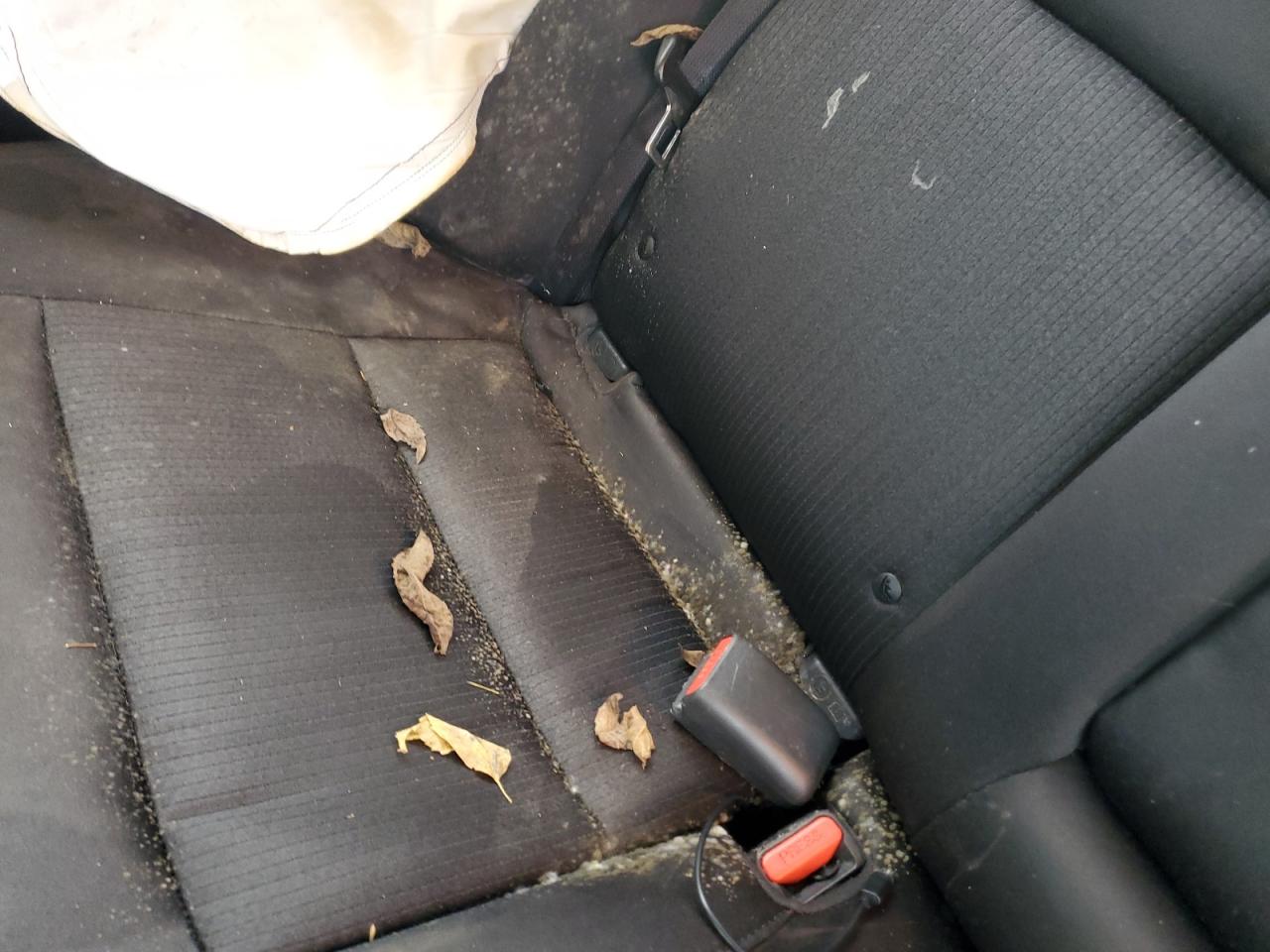 Nissan Altima S Image 8