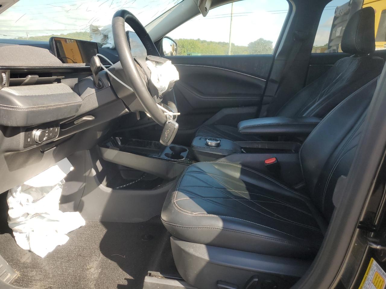 Ford Mustang Select Image 3