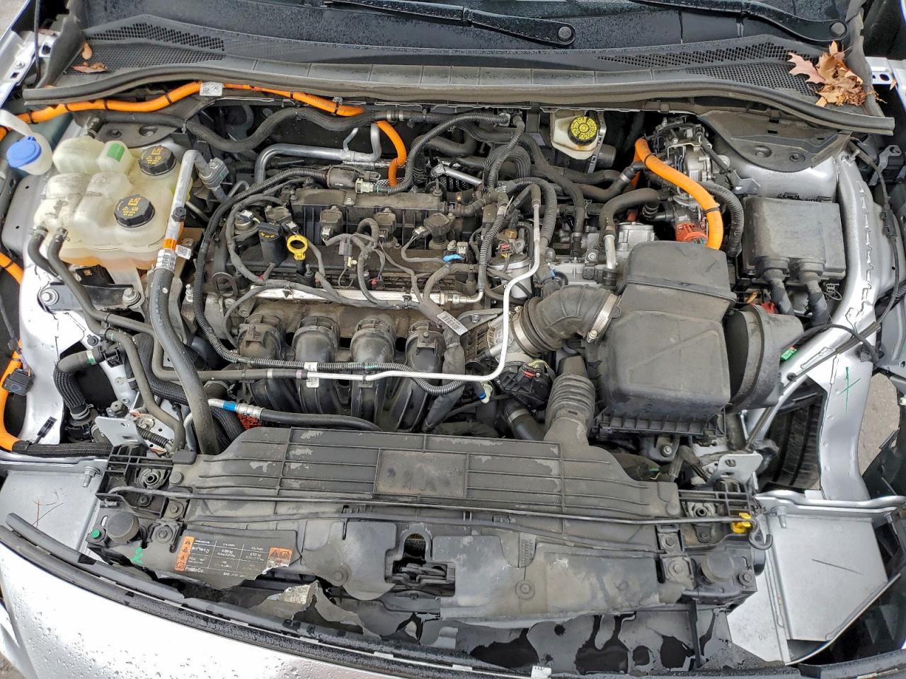 Ford Escape Se Sport Image 9