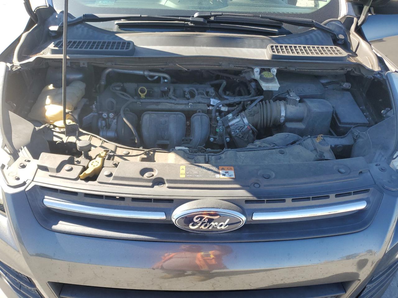 Ford Escape Se Image 12