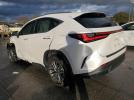 Lexus NX 250 Premium Image 3