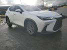Lexus NX 250 Premium Image 4
