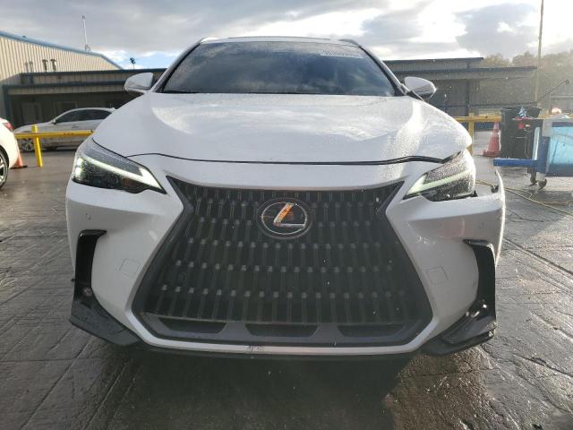 Lexus NX 250 Premium Image 2