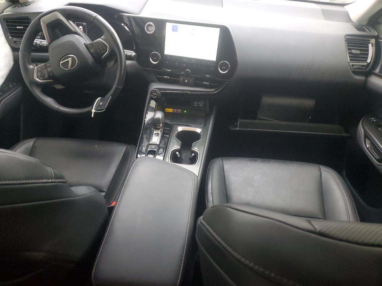 Lexus NX 250 Premium Image 10