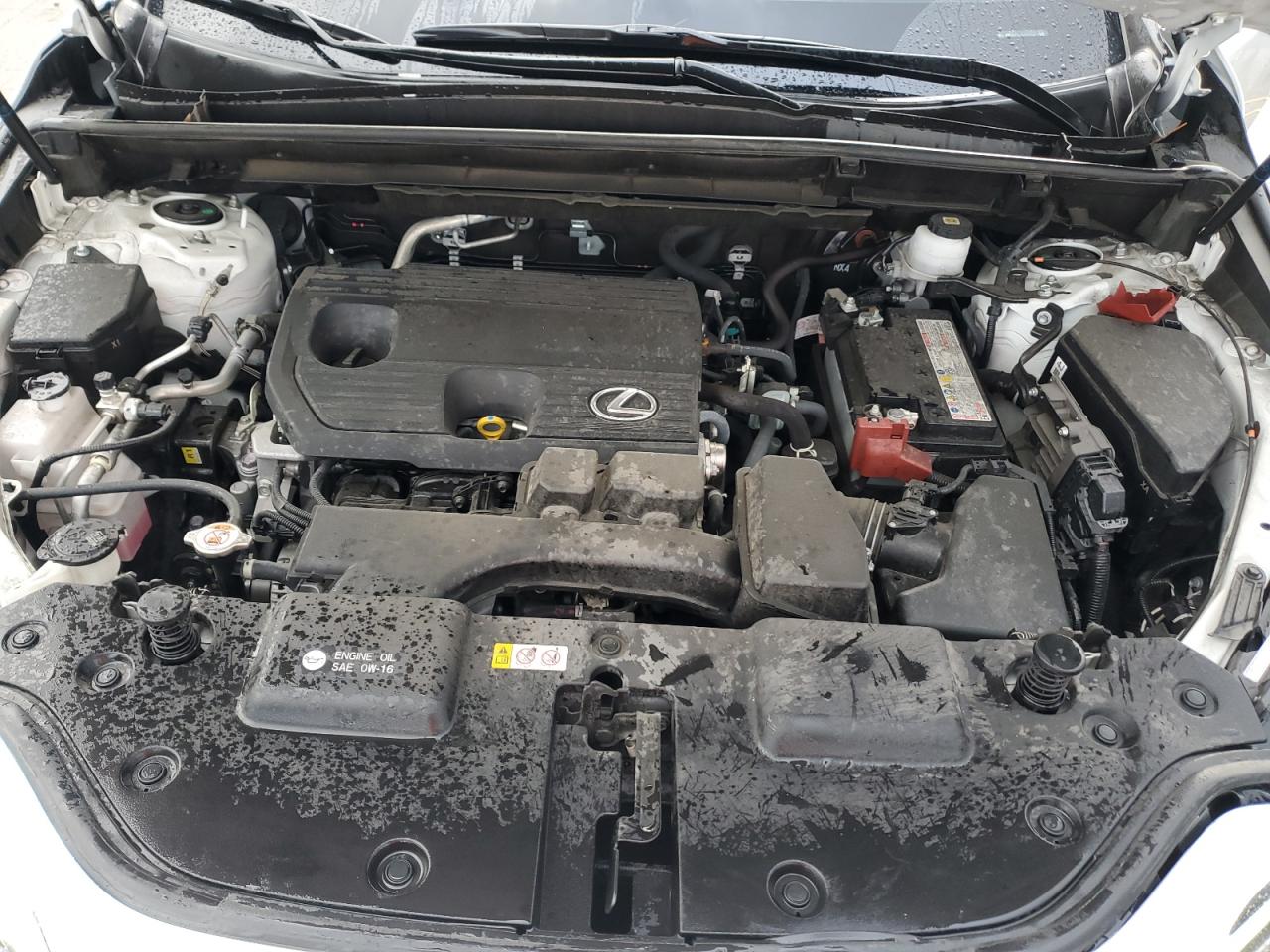 Lexus NX 250 Premium Image 7