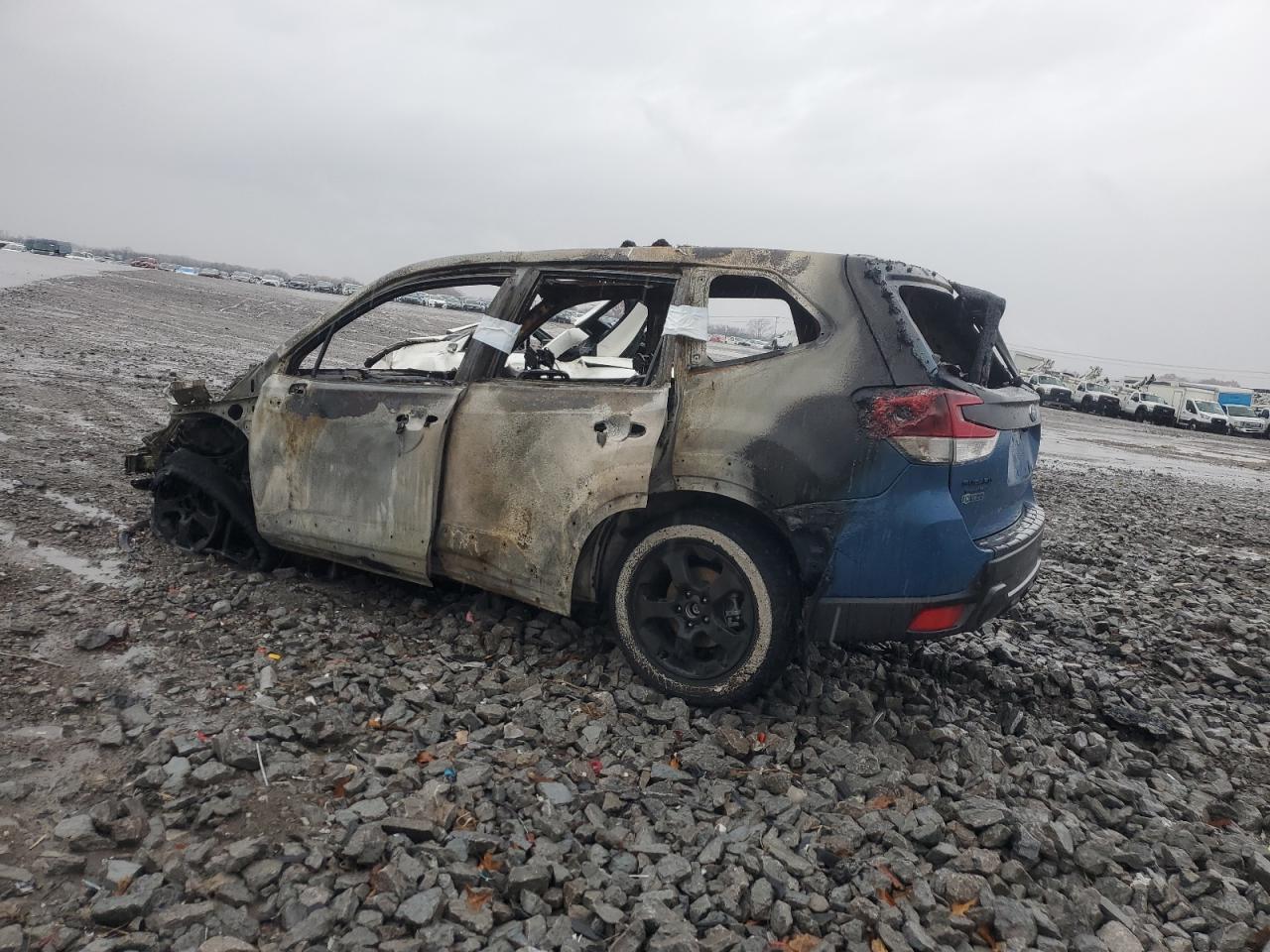 Subaru Forester Wilderness Image 2