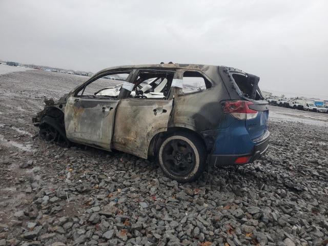 Subaru Forester Wilderness Image 2