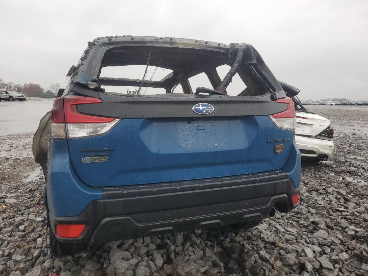 Subaru Forester Wilderness Image 9