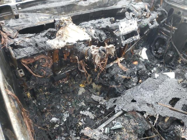 Subaru Forester Wilderness Image 10