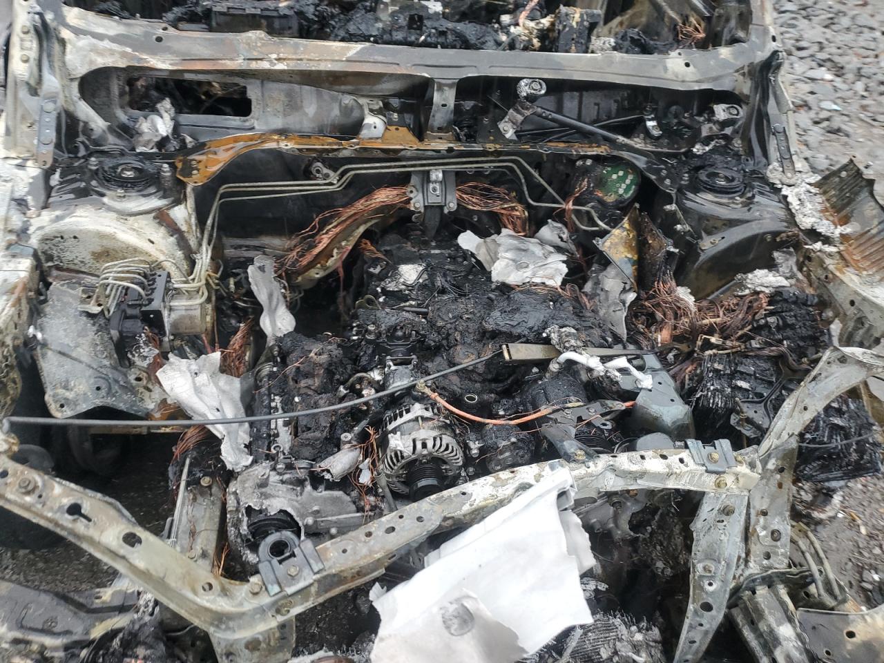 Subaru Forester Wilderness Image 8