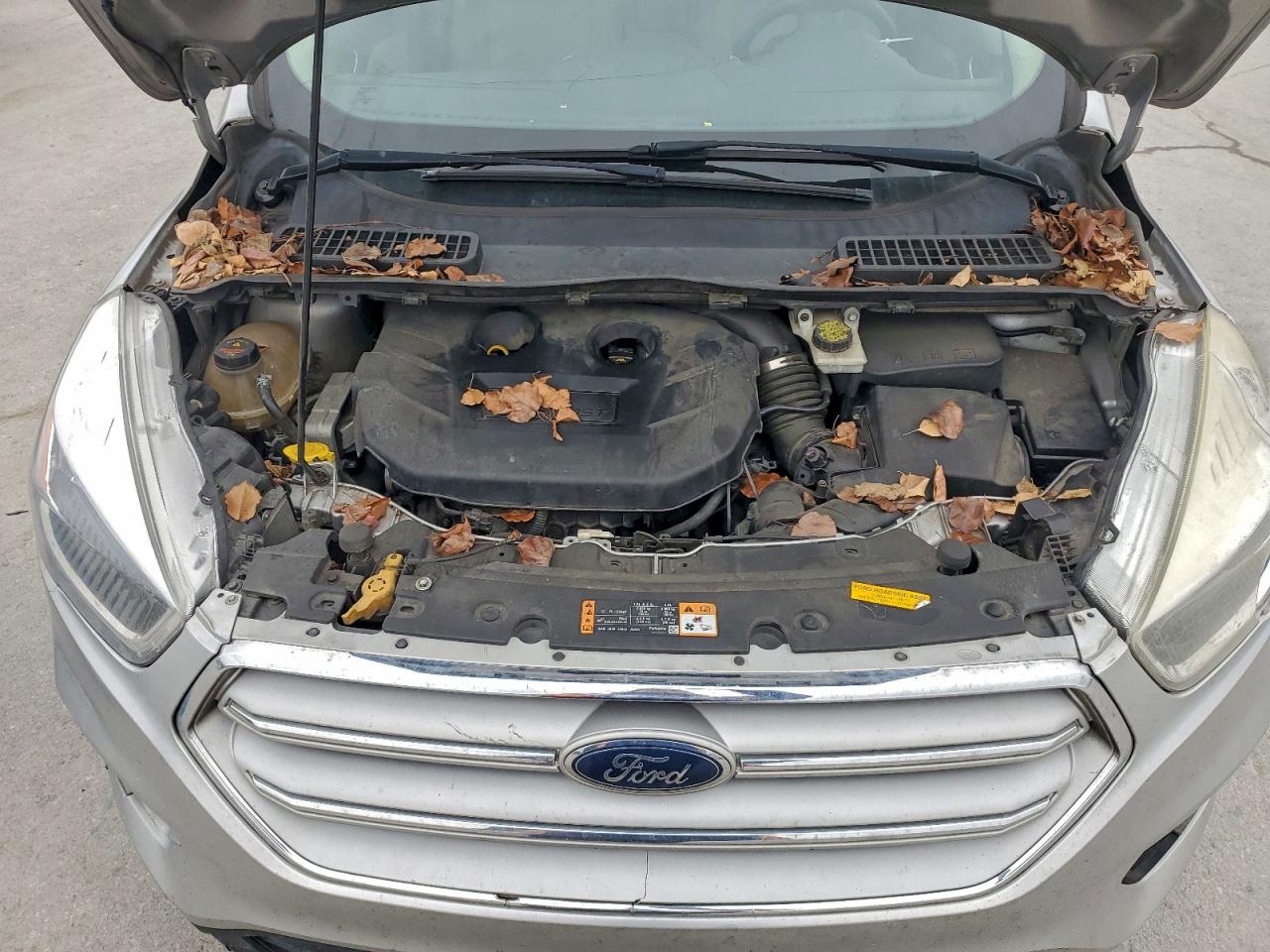 Ford Escape Se Image 10