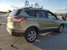 Ford Escape Sel Image 5