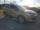 Ford Escape Sel Image 6