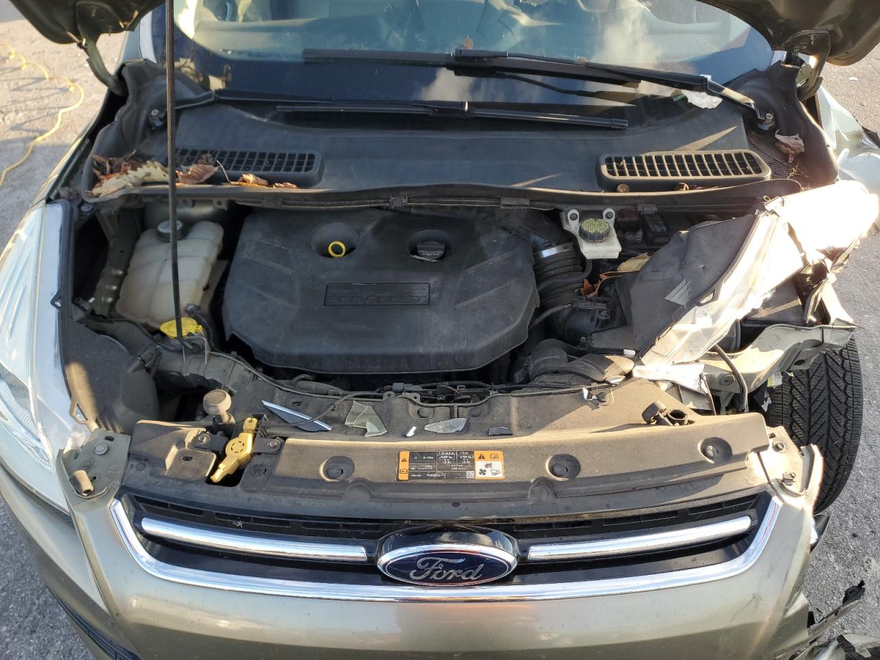 Ford Escape Sel Image 11