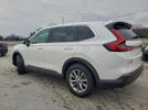 Honda Crv Exl Image 12