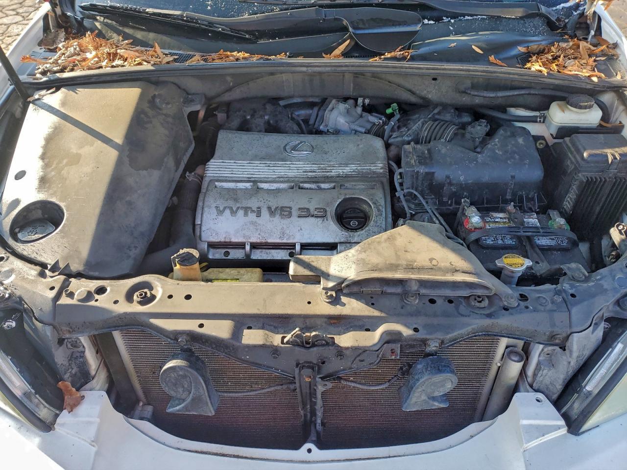 Lexus RX 330 Image 5