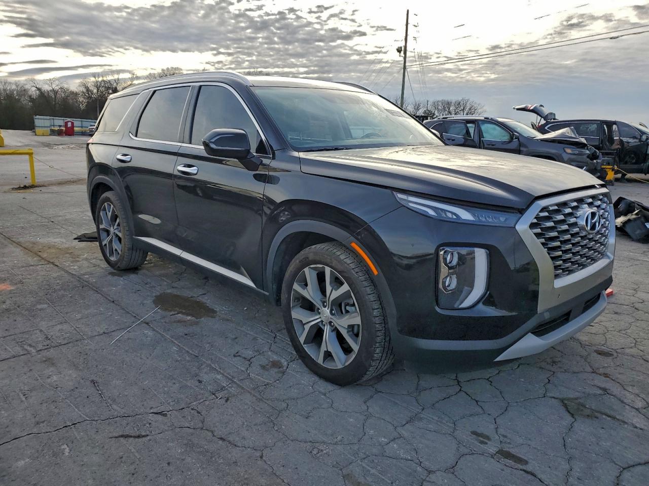 Hyundai PALISADE Sel Image 6