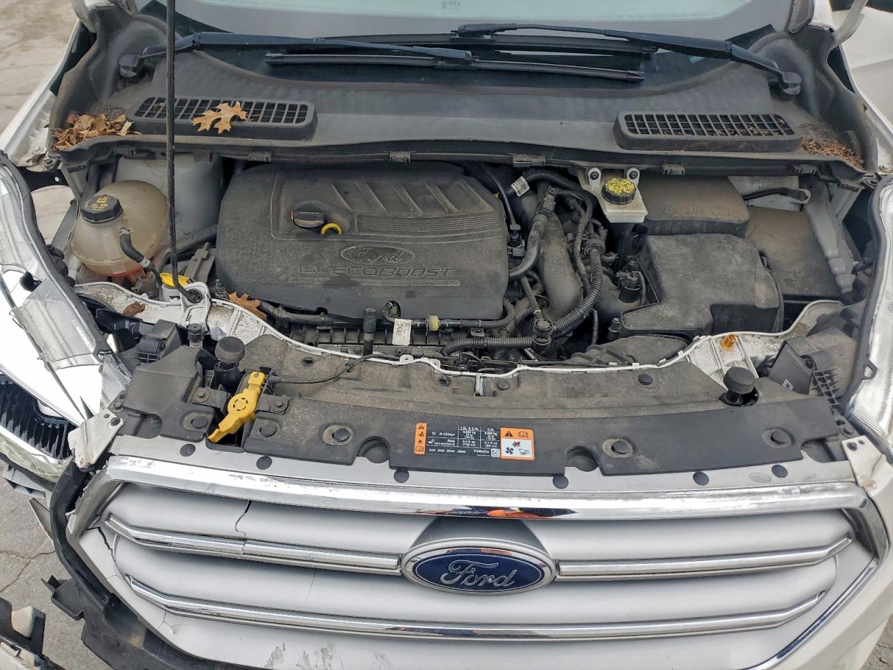 Ford Escape Titanium Image 4