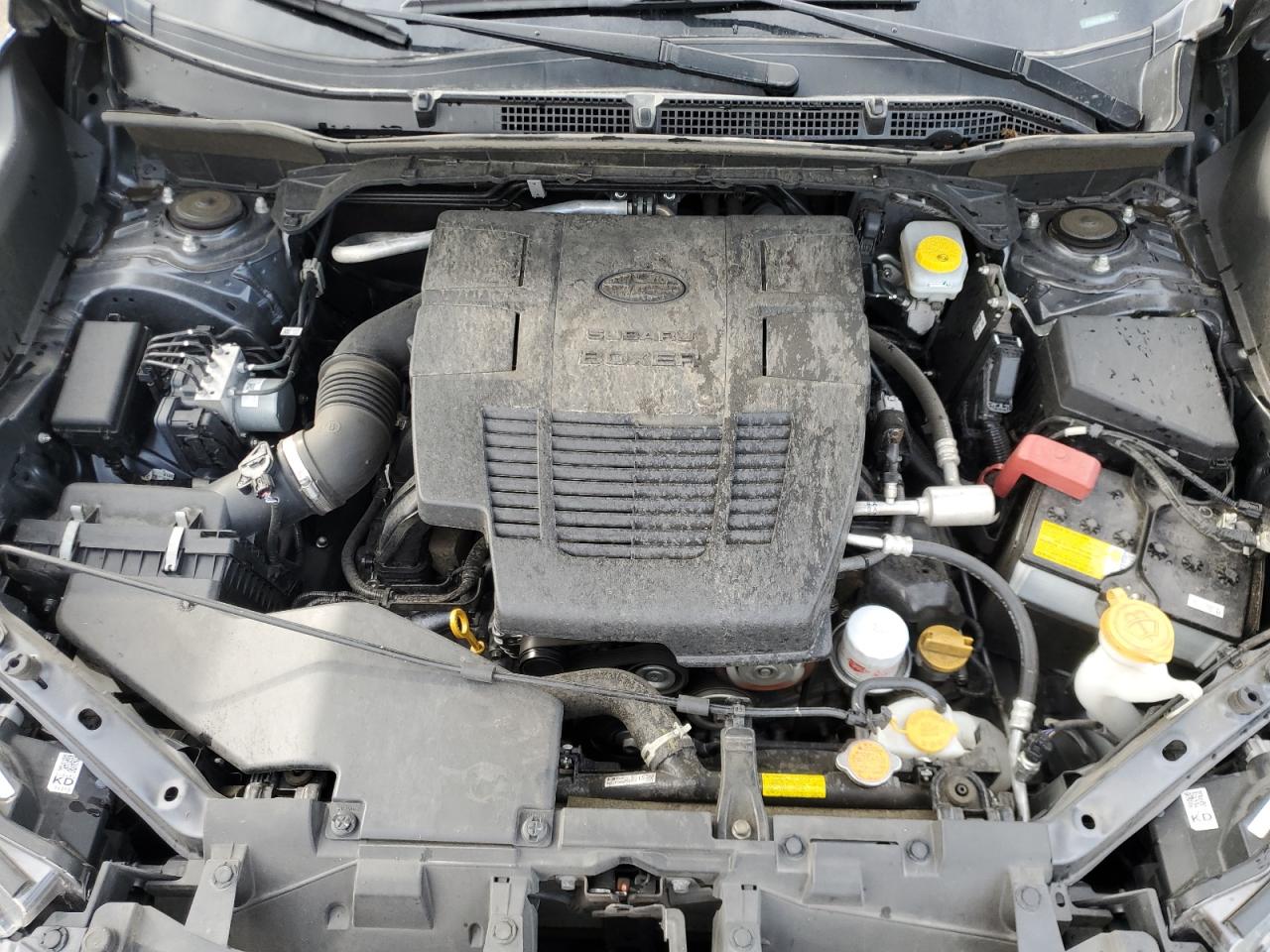 Subaru Forester Premium Image 12