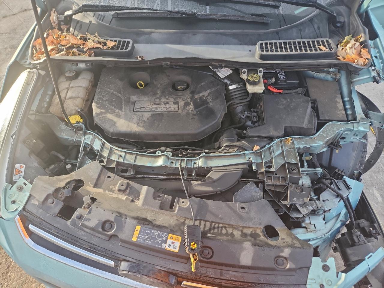 Ford Escape Titanium Image 11