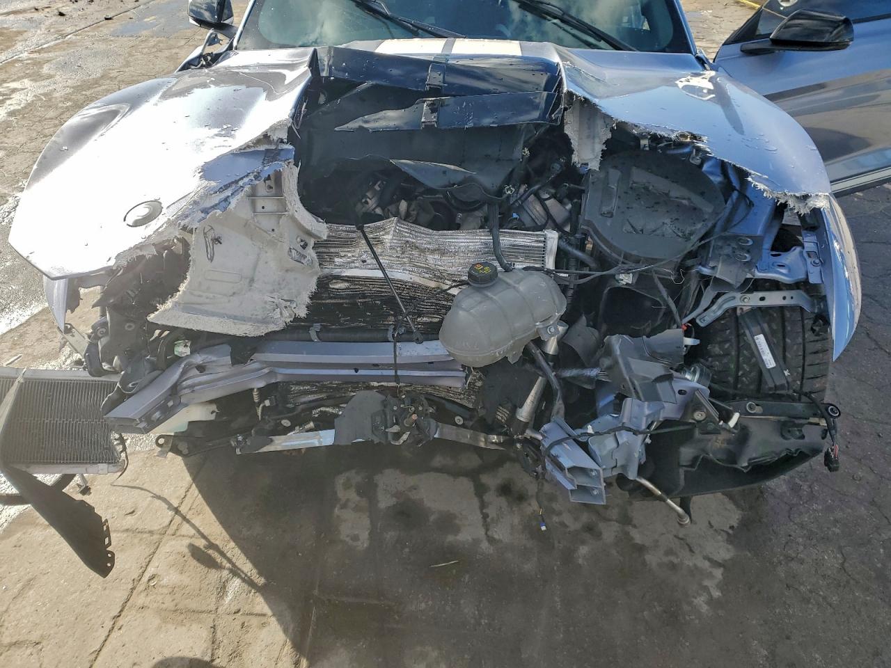 Ford Mustang Shelby Gt500 Image 10