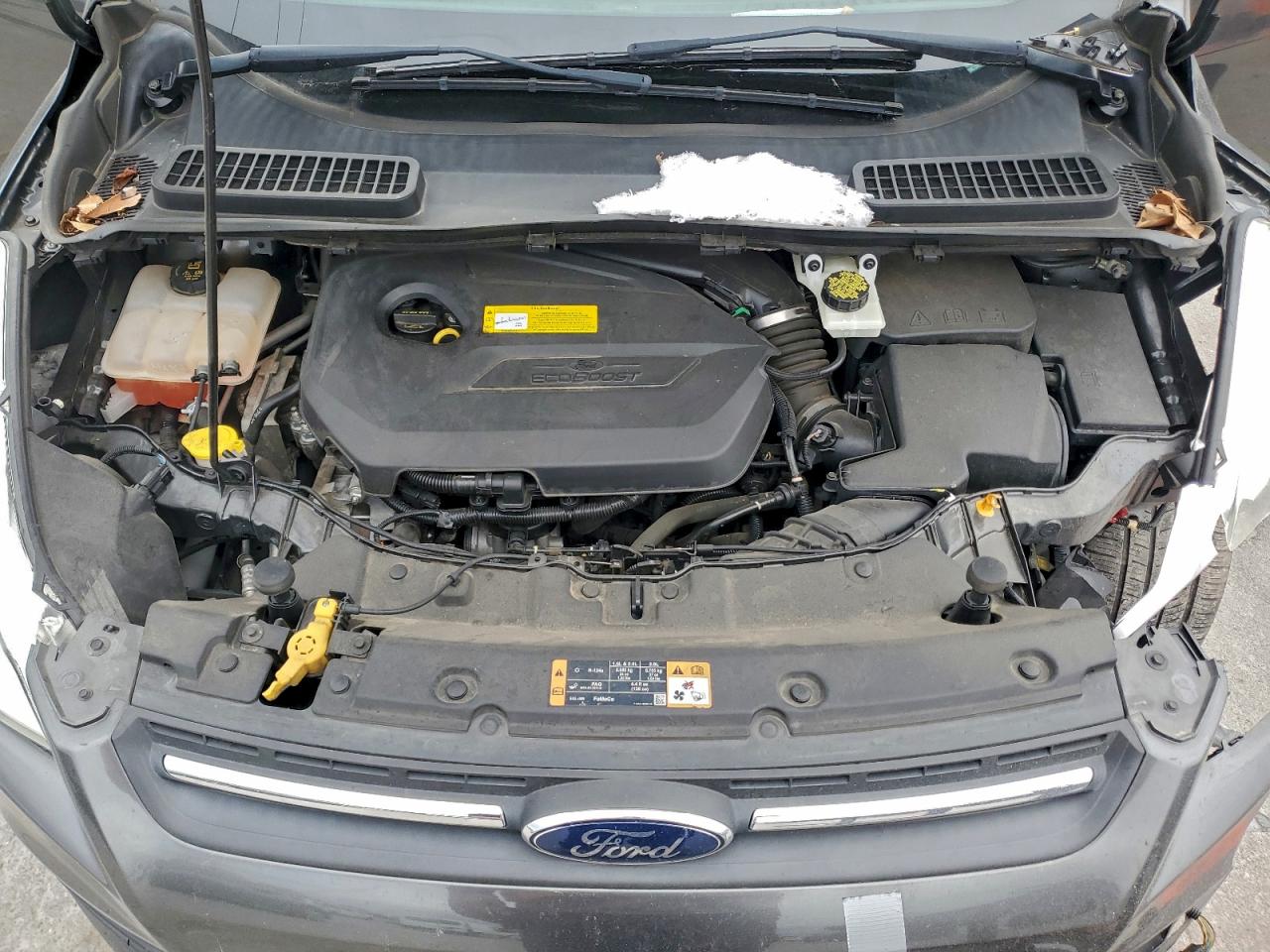 Ford Escape Se Image 14