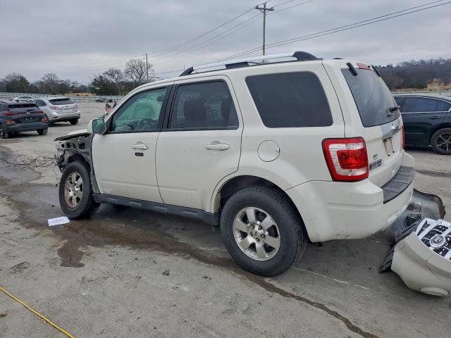 Ford Escape Limited Image 5