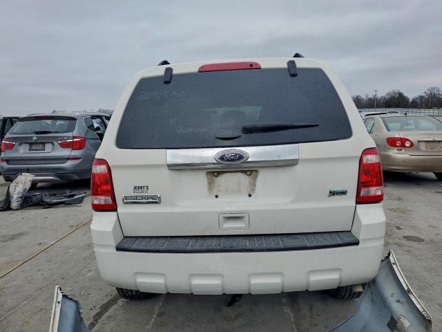 Ford Escape Limited Image 4