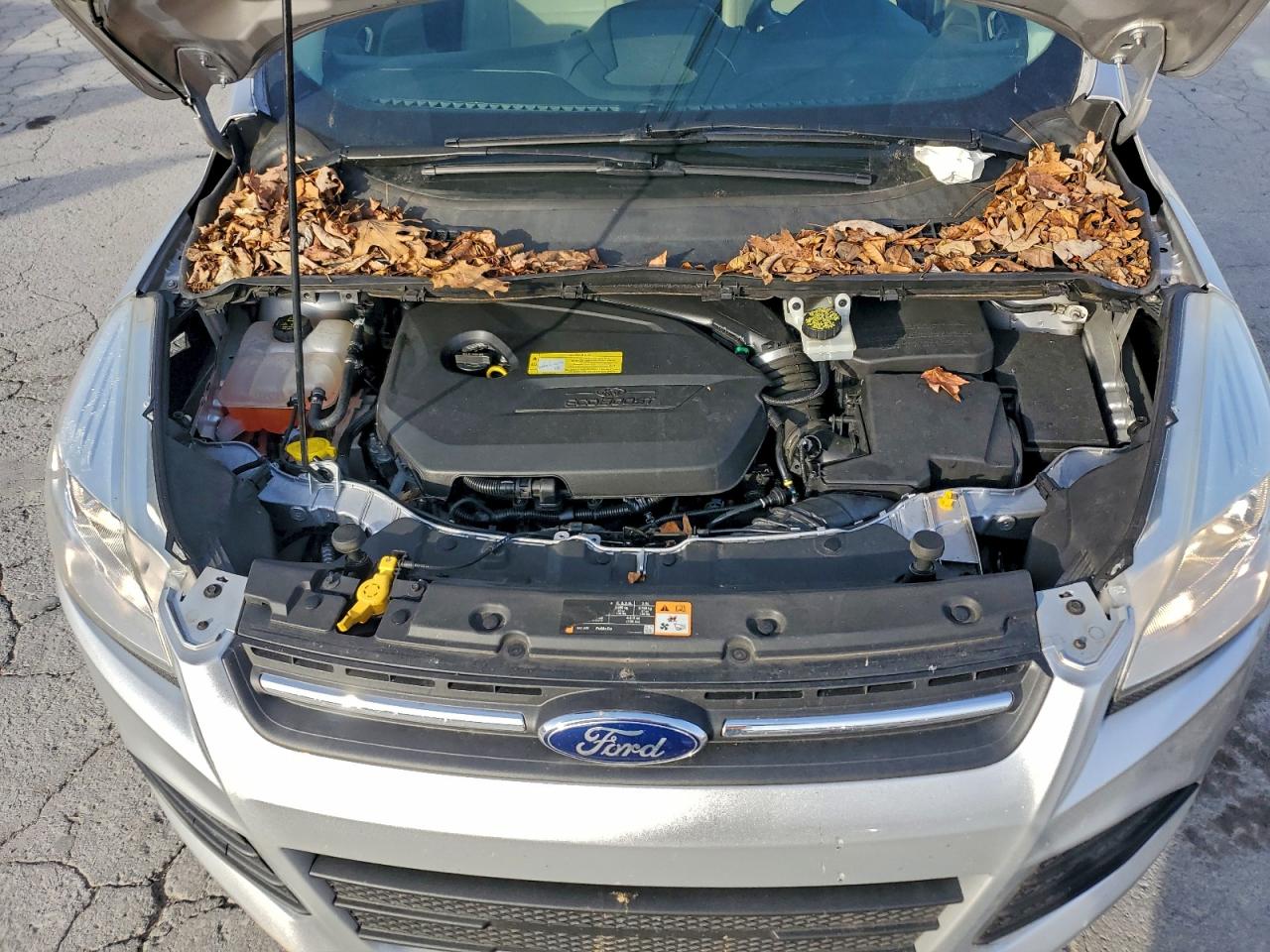 Ford Escape Se Image 5