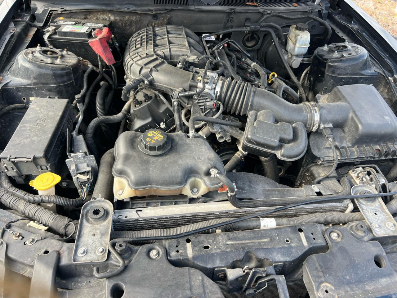 Ford Mustang Image 8