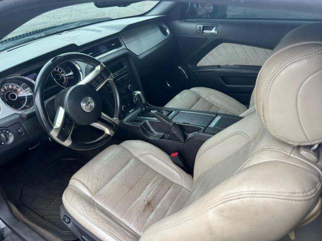 Ford Mustang Image 13