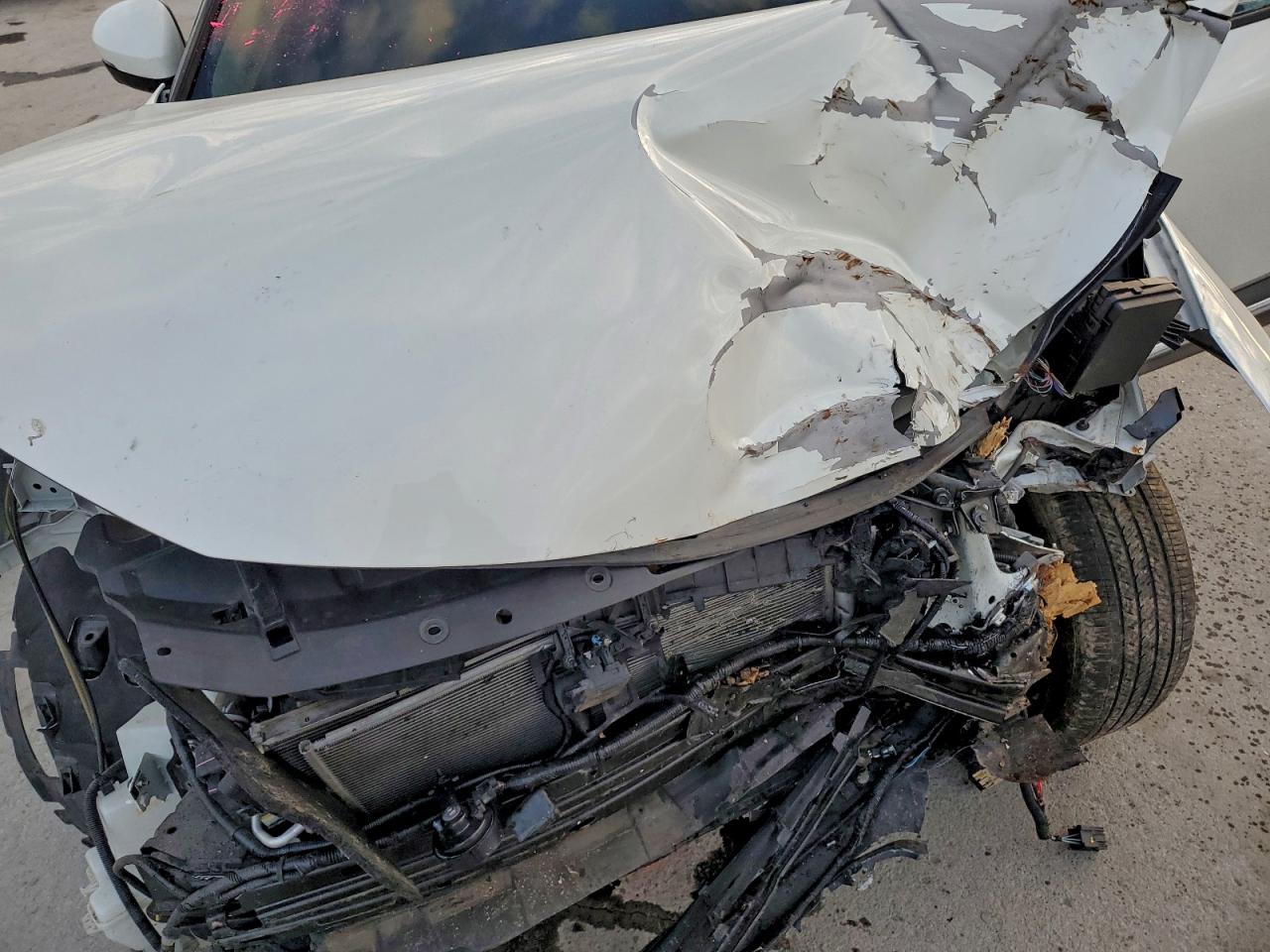 Nissan Rogue Sl Image 4