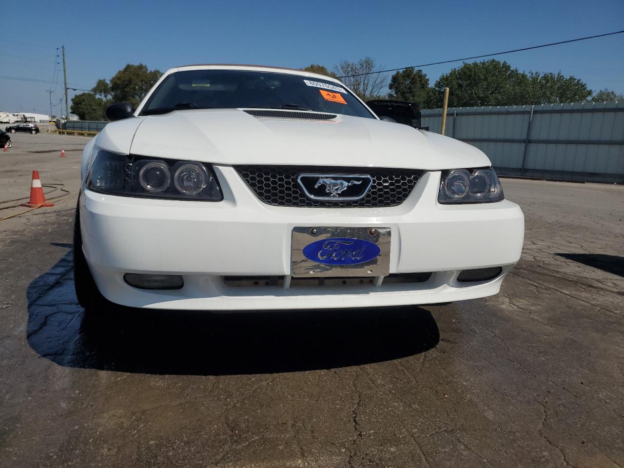 Ford Mustang Gt Image 12