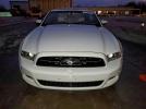 Ford Mustang Image 9