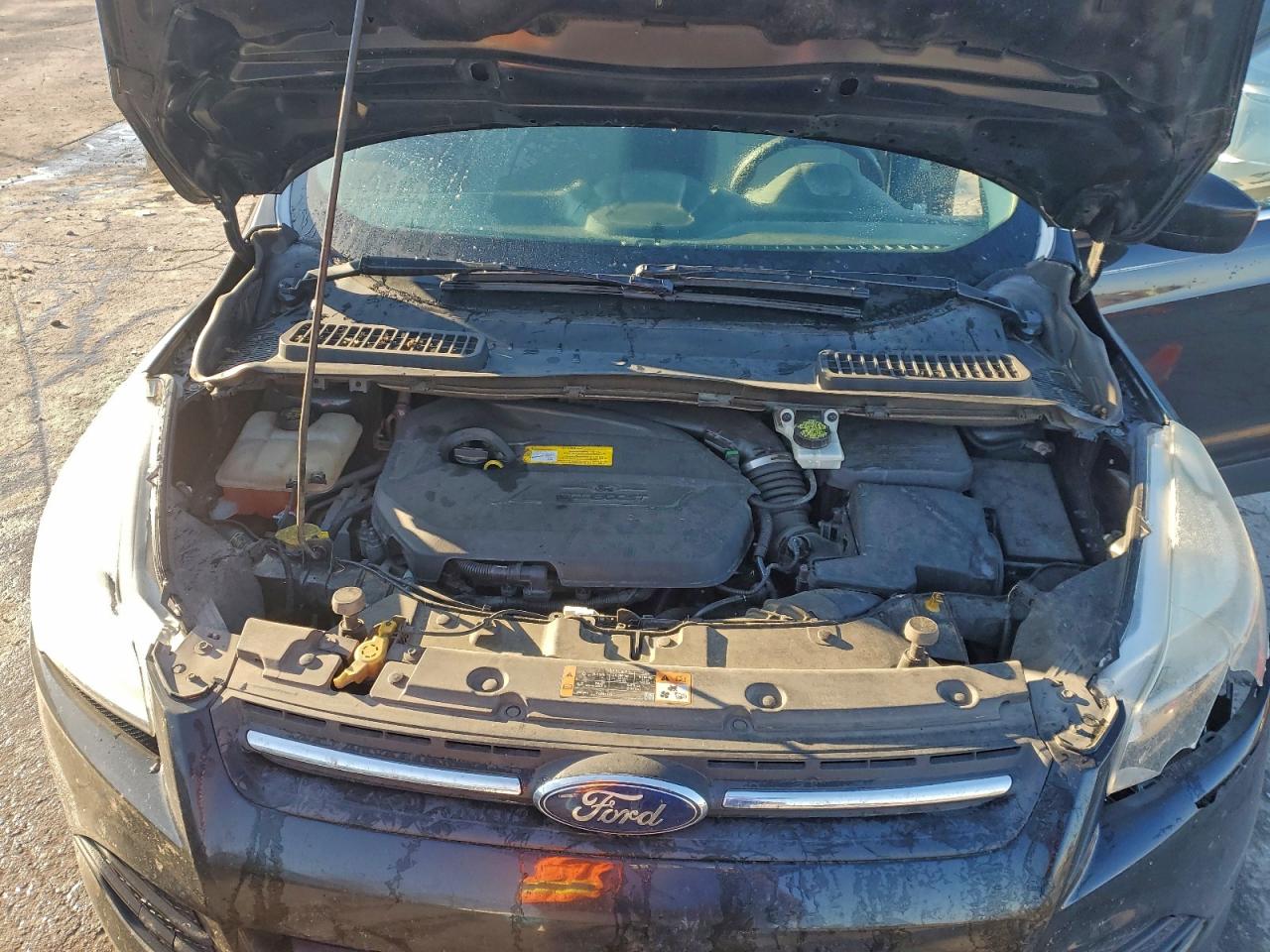 Ford Escape Se Image 10