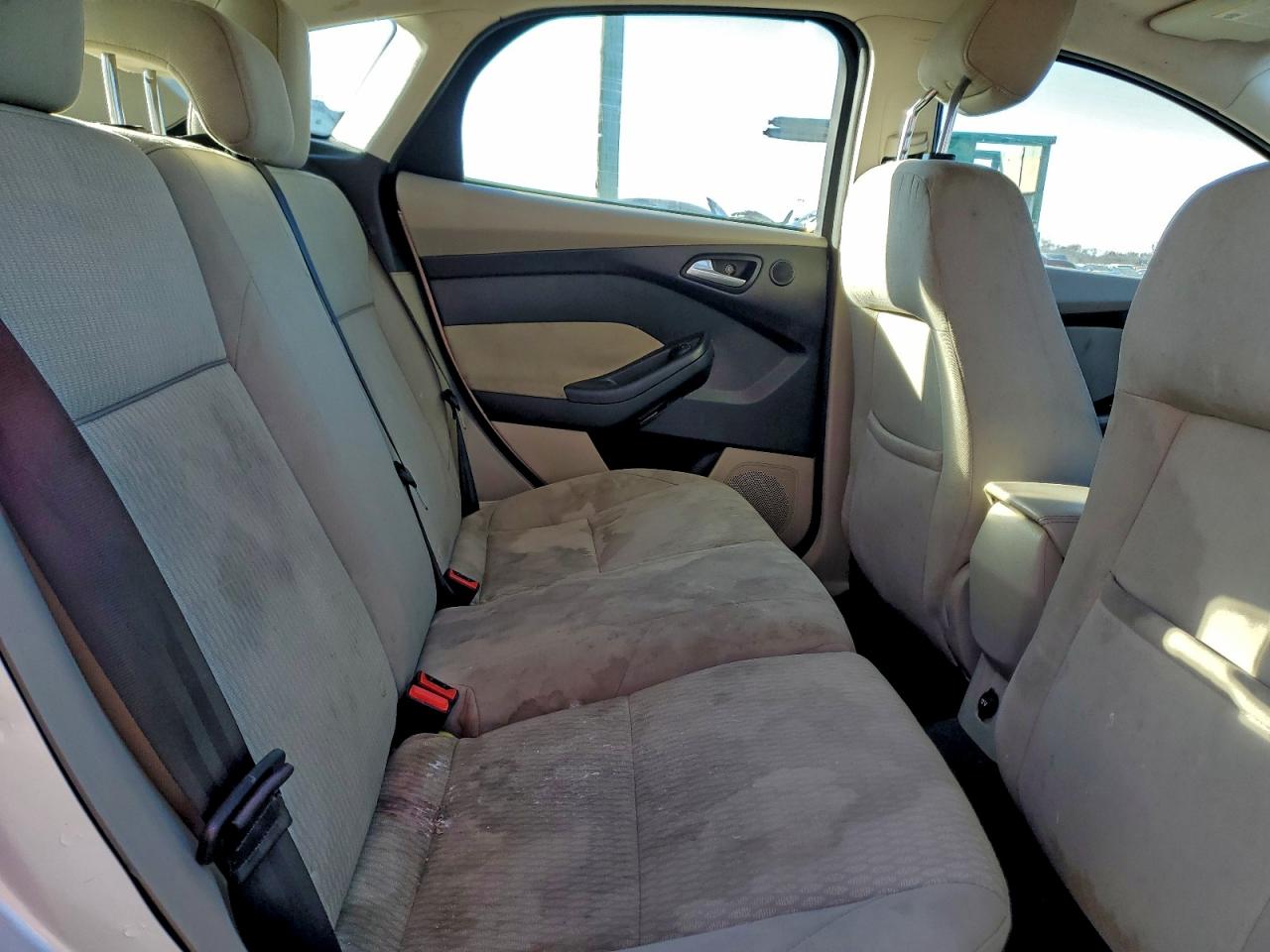 Ford Focus Sel Image 10